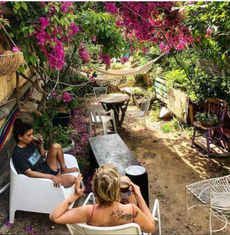 תל אביב Jaffa Guesthouse מראה חיצוני תמונה
